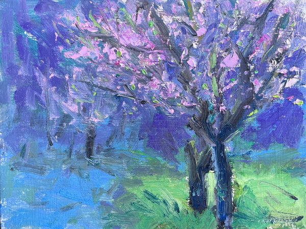 Apricot Study